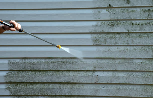Best Local Pressure Washing Services  in Holly Lake Ranch, TX