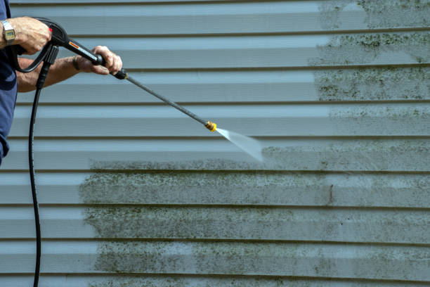 Best Roof Pressure Washing  in Holly Lake Ranch, TX