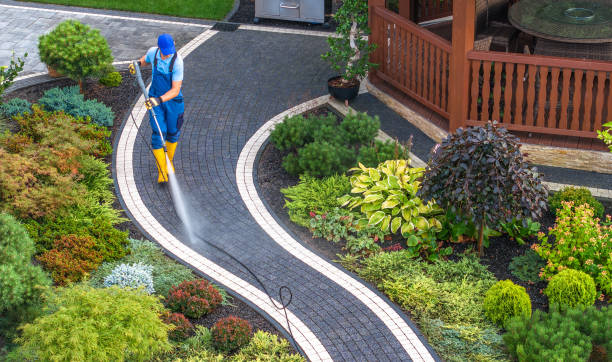 Best Best Pressure Washing Companies  in Holly Lake Ranch, TX