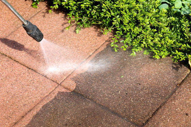 Best Roof Pressure Washing  in Holly Lake Ranch, TX
